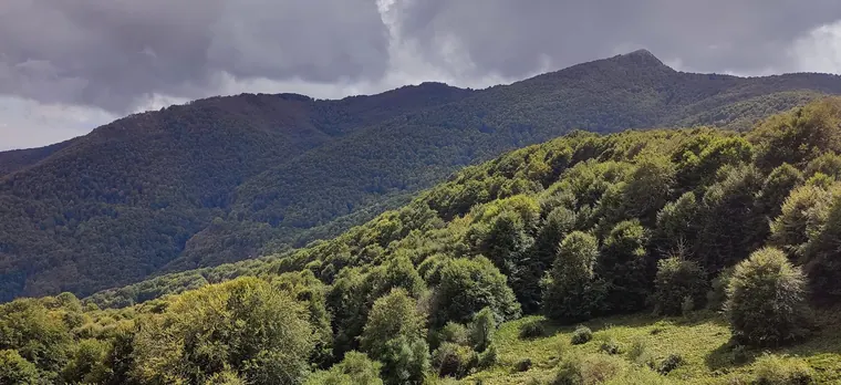 Κορυφή Γκόλα Τσούκα
